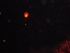 2013yjlf035