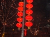 2013yjlf038