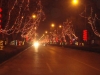 2013yjlf039