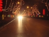 2013yjlf040