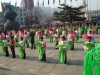 2013yjlf095